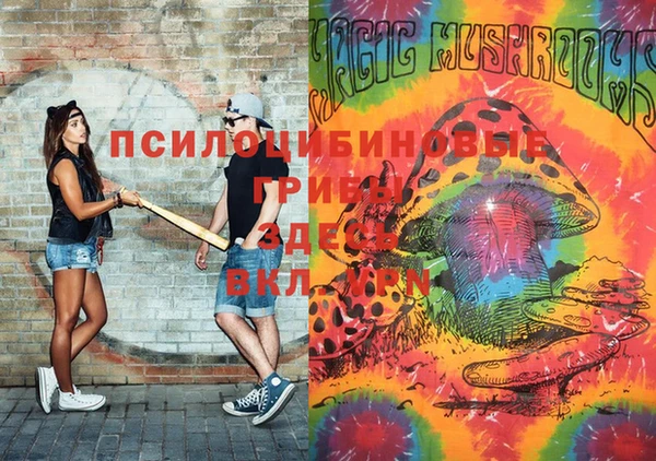 mdma Бородино