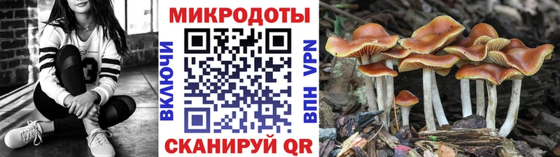 гидра онион  Пестово  Псилоцибиновые грибы MAGIC MUSHROOMS 